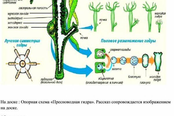 Короткая ссылка на кракен